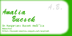 amalia bucsek business card
